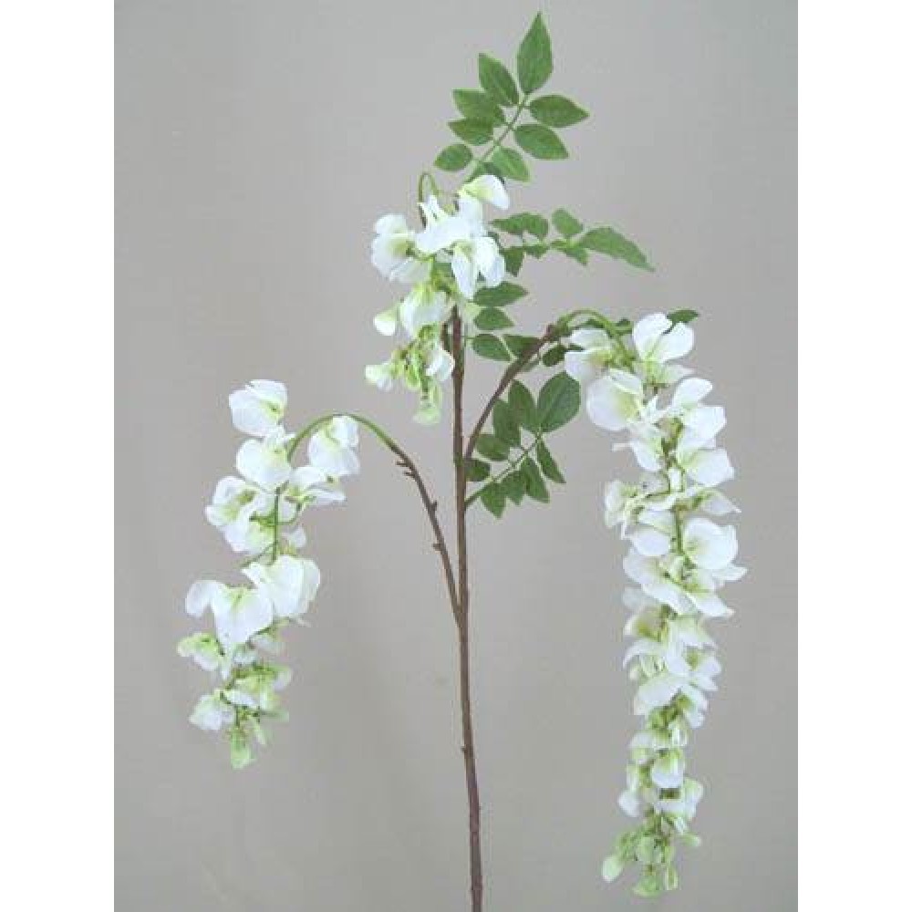 white wisteria bridal boutique